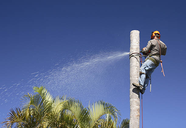 Lawn Irrigation Installation and Maintenance in Newport, MN